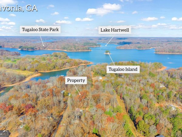 0316 Arrowhead Drive, Unit 316, Lavonia, GA 30553