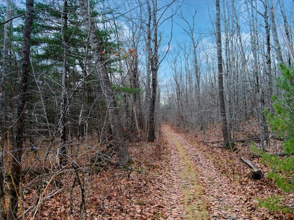 Lot 151 Dunbar Road, Thomaston, ME 04861