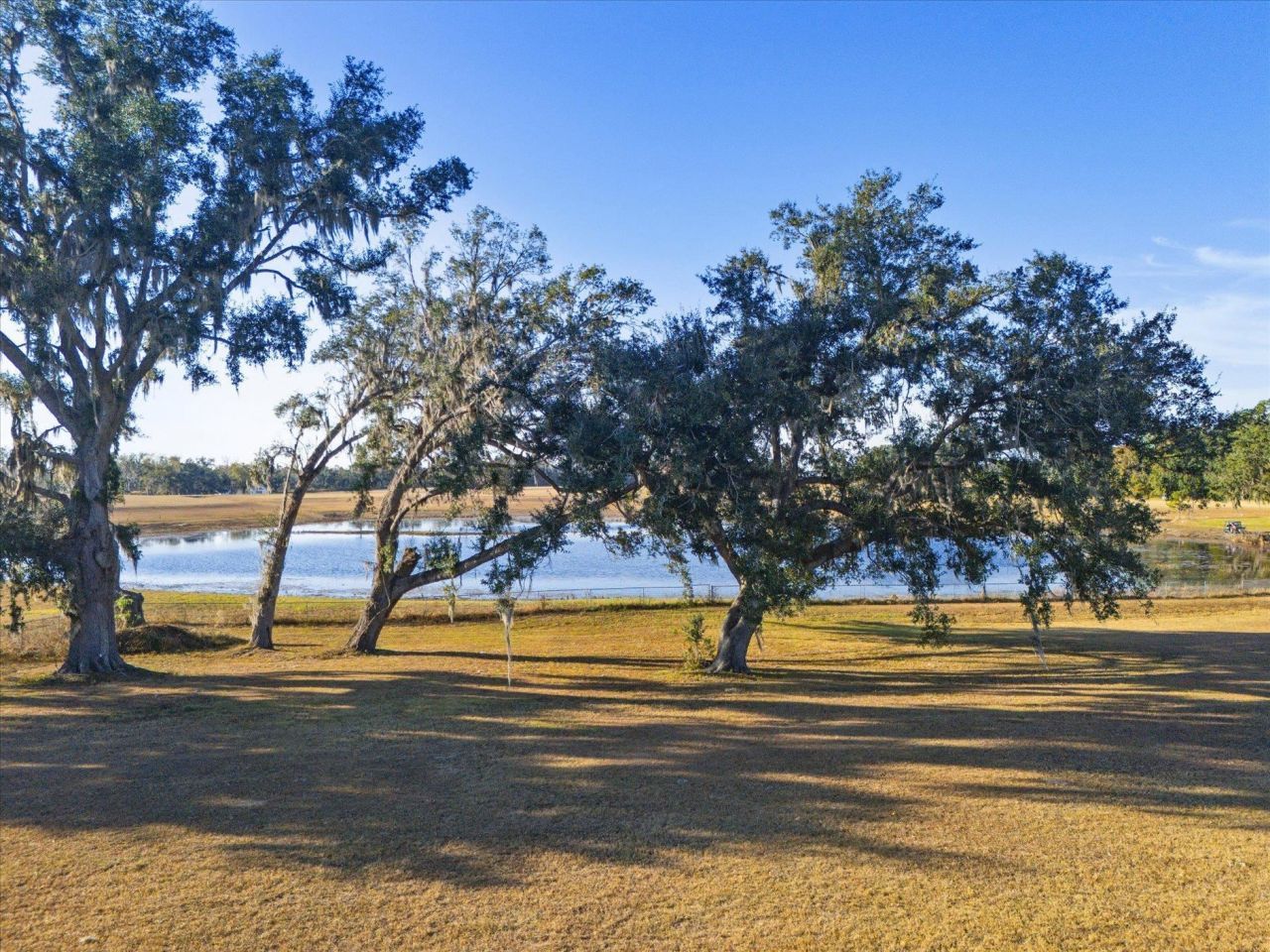 479 NW Appaloosa Way , Madison, FL 32340 Photo