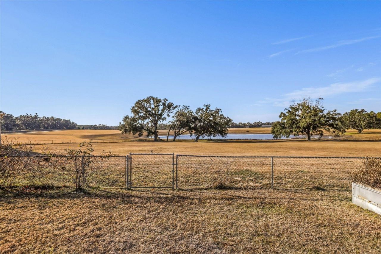 479 NW Appaloosa Way , Madison, FL 32340 Photo