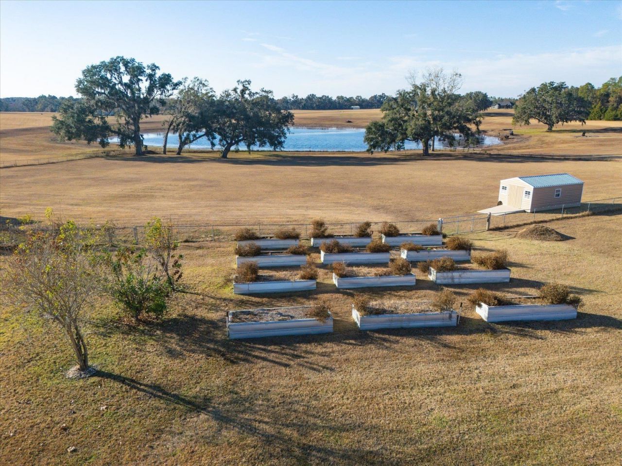 479 NW Appaloosa Way , Madison, FL 32340 Photo