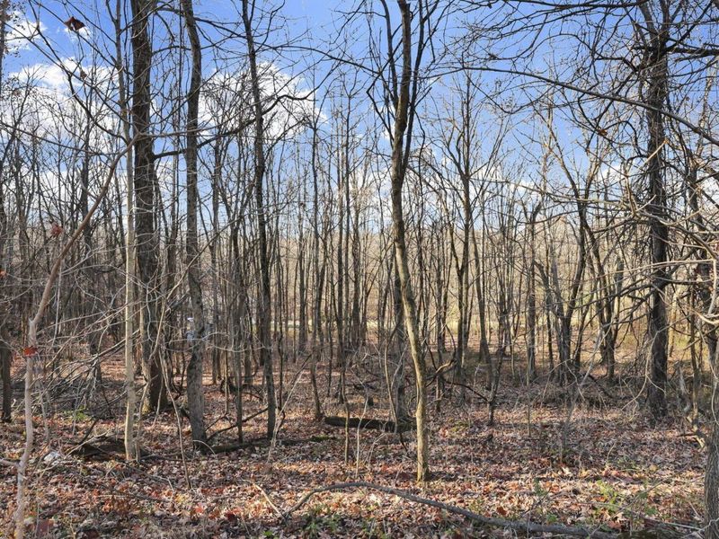 0 Mulberry Road, Mount Perry, OH 43760 Photo 10