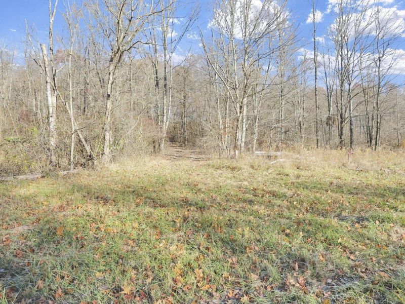 0 Mulberry Road, Mount Perry, OH 43760 Photo 13