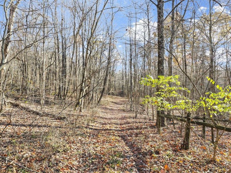 0 Mulberry Road, Mount Perry, OH 43760 Photo 14