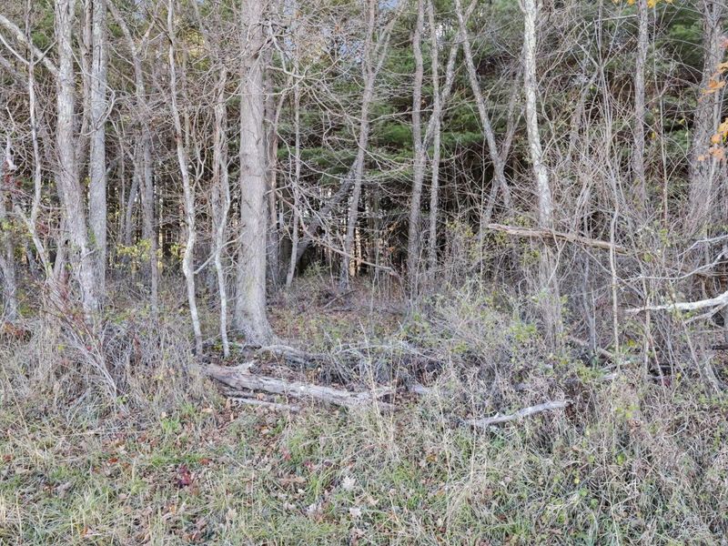 0 Mulberry Road, Mount Perry, OH 43760 Photo 16