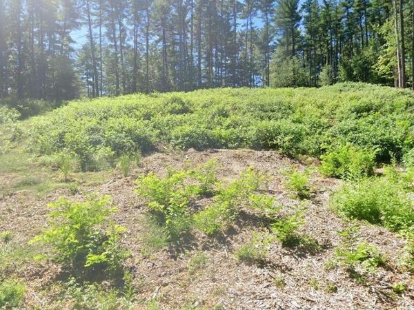 5 Woodview Court, Ballston Lake, NY 12019