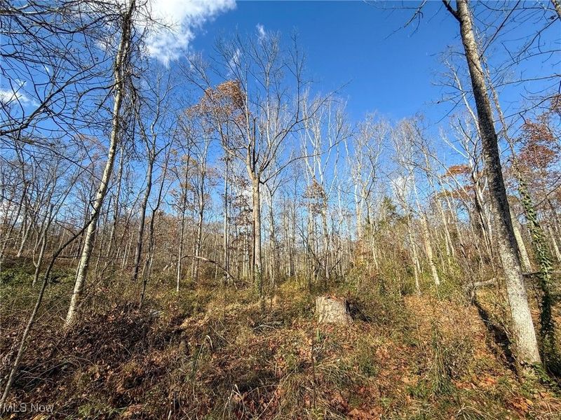 Kern Rd, Waterford, OH 45786 Photo 10