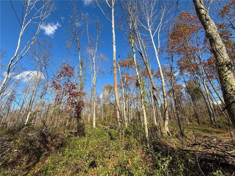 Kern Rd, Waterford, OH 45786 Photo 11