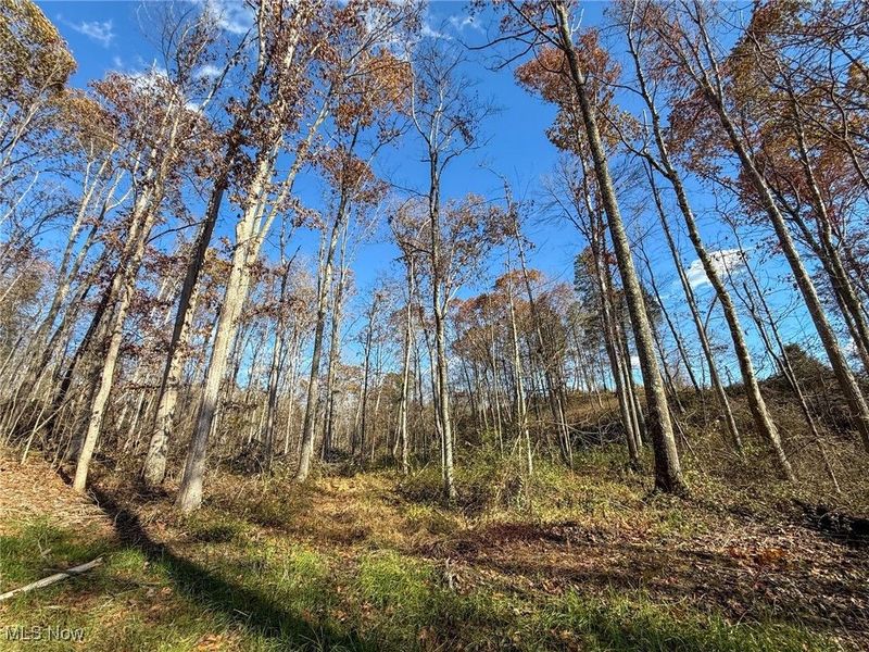 Kern Rd, Waterford, OH 45786 Photo 13