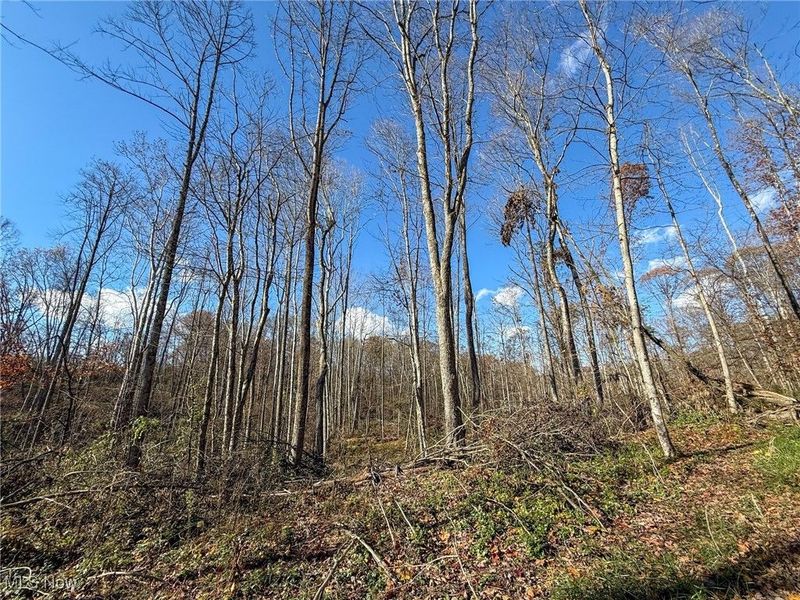 Kern Rd, Waterford, OH 45786 Photo 14