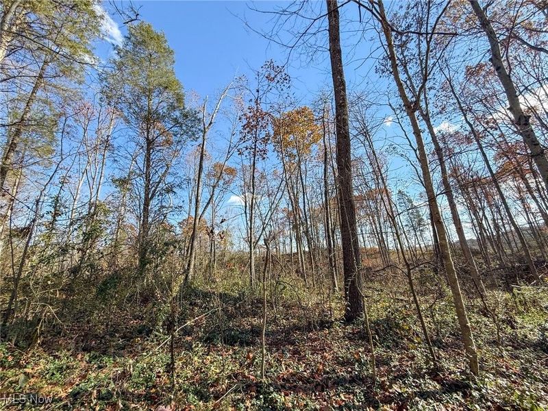 Kern Rd, Waterford, OH 45786 Photo 16