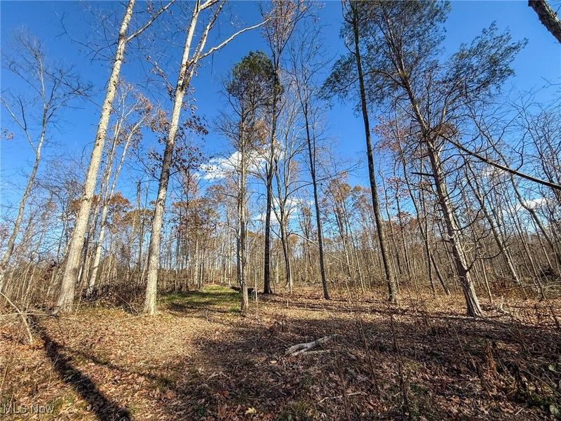 Kern Rd, Waterford, OH 45786 Photo 20