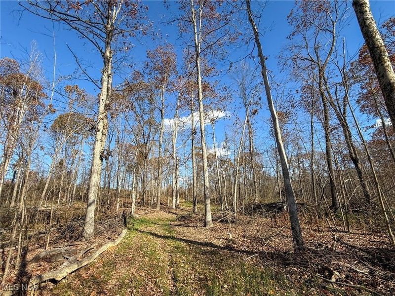 Kern Rd, Waterford, OH 45786 Photo 21