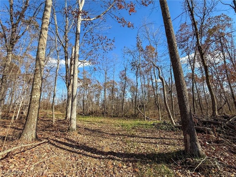 Kern Rd, Waterford, OH 45786 Photo 22