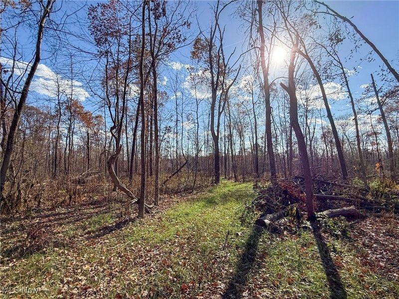 Kern Rd, Waterford, OH 45786 Photo 23