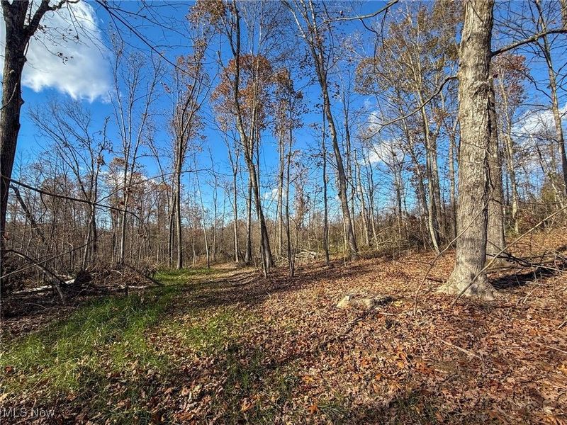 Kern Rd, Waterford, OH 45786 Photo 24