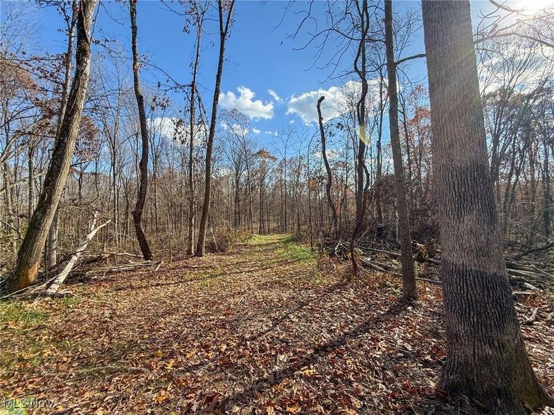 Kern Rd, Waterford, OH 45786 Photo 26