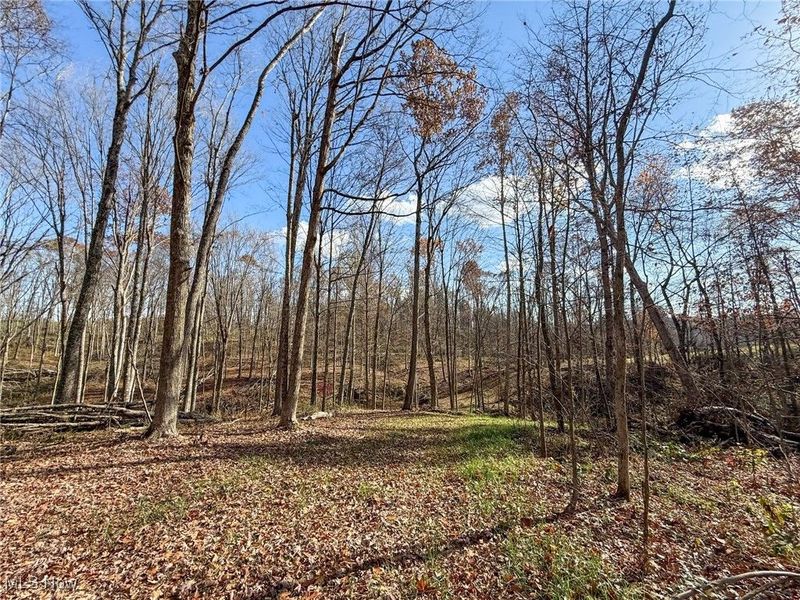 Kern Rd, Waterford, OH 45786 Photo 28