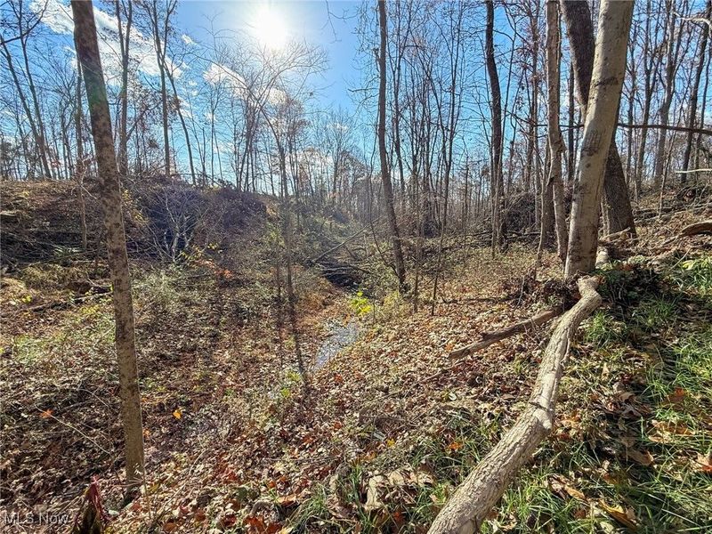 Kern Rd, Waterford, OH 45786 Photo 30