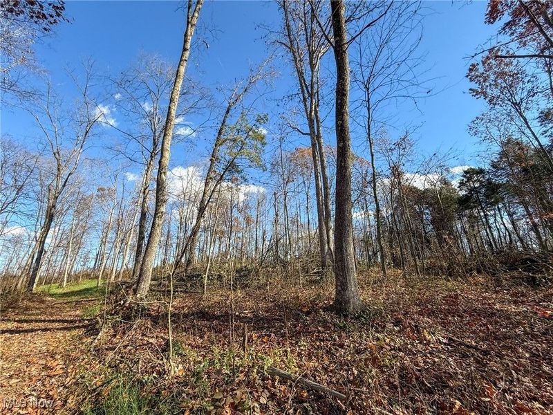 Kern Rd, Waterford, OH 45786 Photo 35