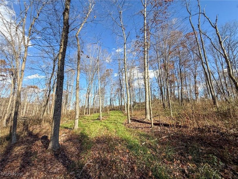 Kern Rd, Waterford, OH 45786 Photo 36