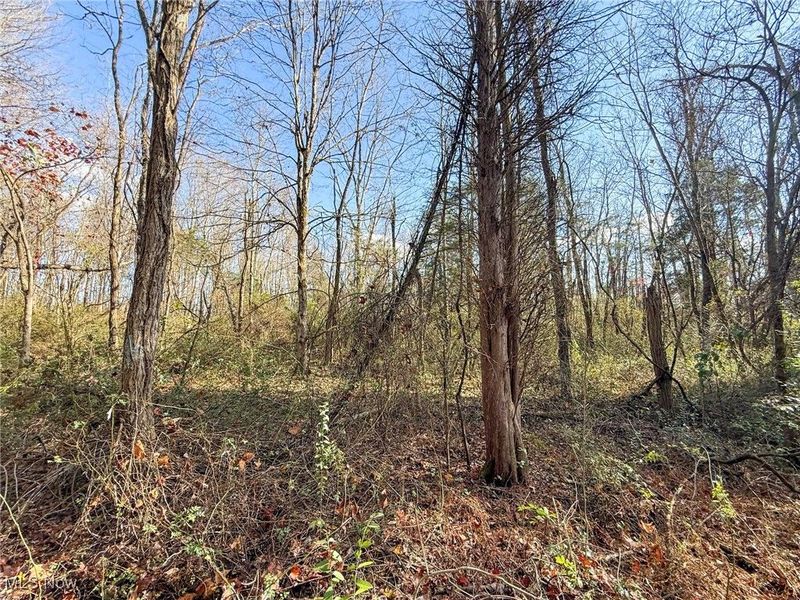 Kern Rd, Waterford, OH 45786 Photo 37