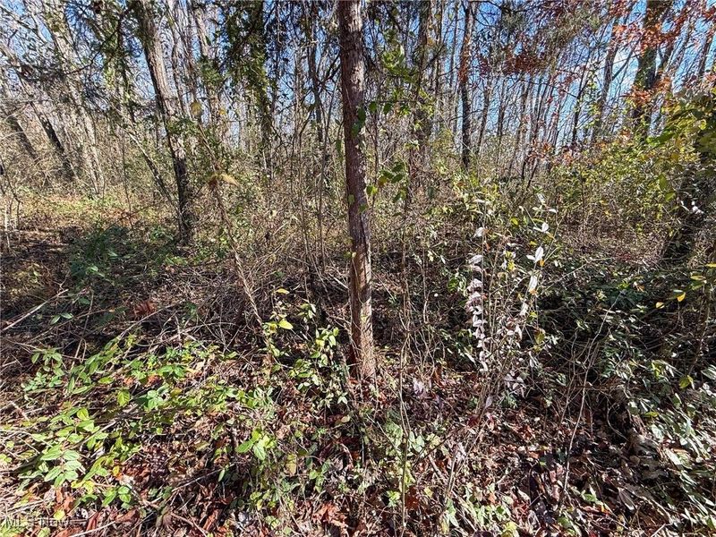 Kern Rd, Waterford, OH 45786 Photo 40