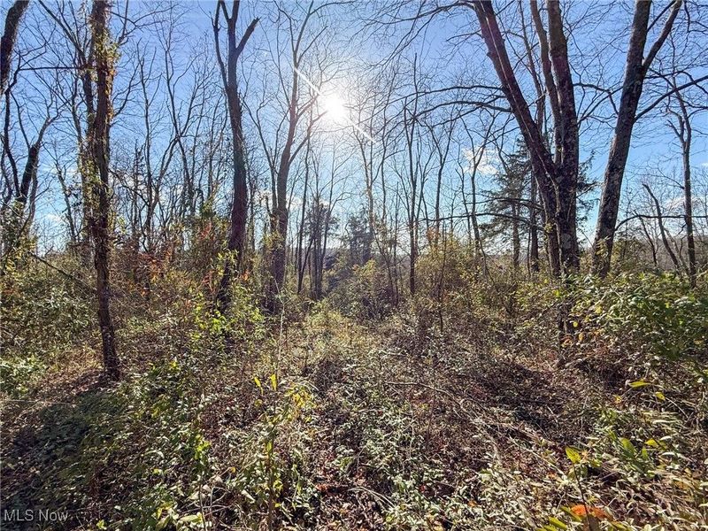 Kern Rd, Waterford, OH 45786 Photo 41