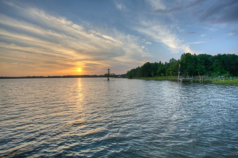 12230 Stonelake Ranch Boulevard, Thonotosassa, FL 33592 Photo