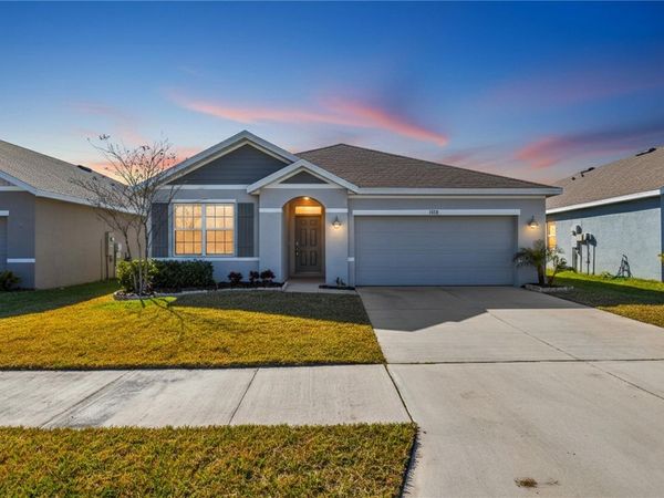 33318 HAMILTON HILL LN, WESLEY CHAPEL, FL 33545