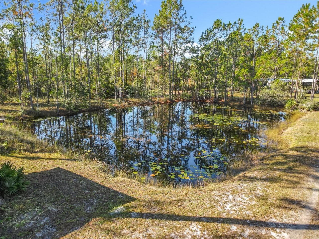 6100 Winning Wood Trail, De Leon Springs, FL 32130 Photo