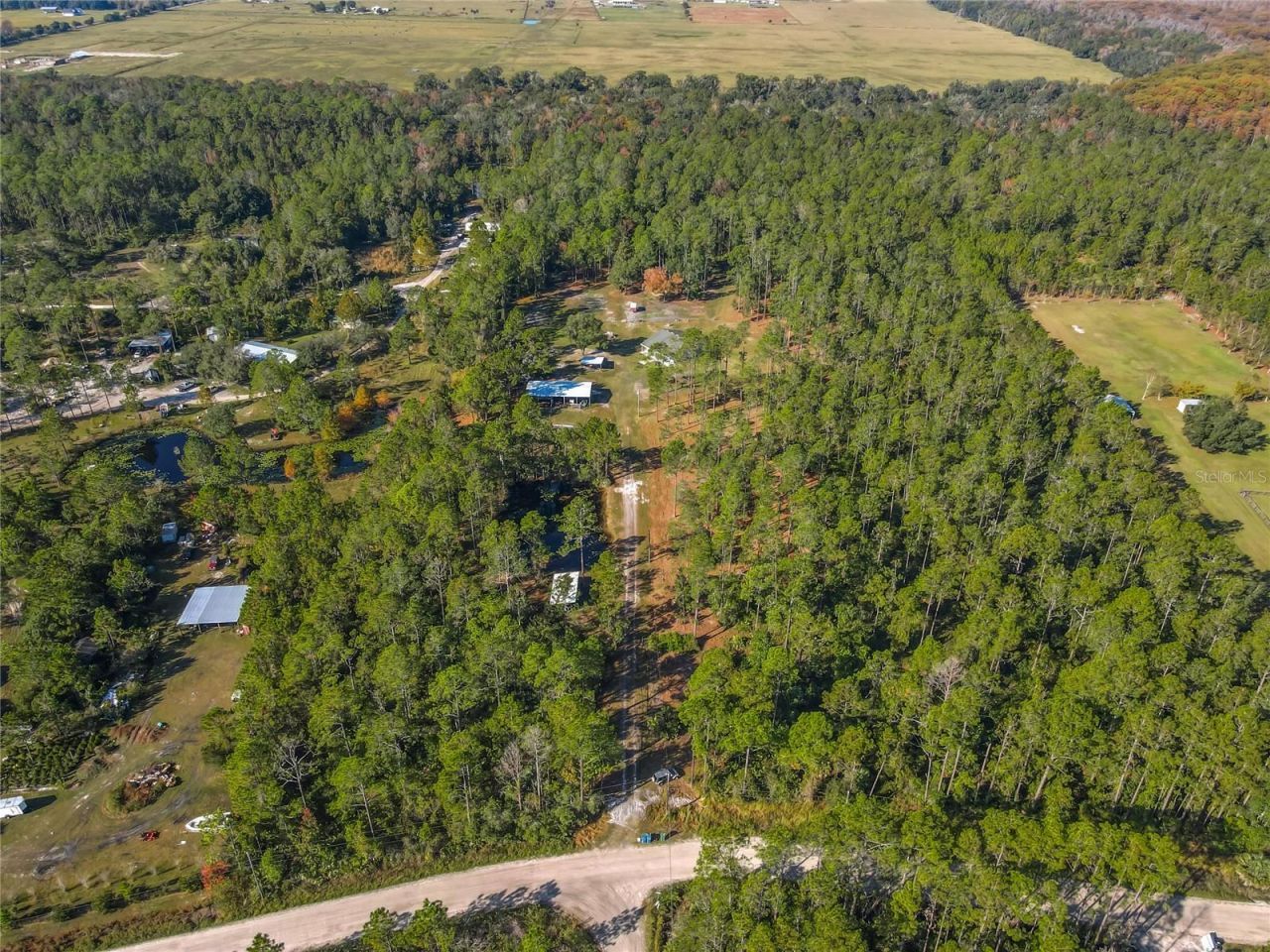 6100 Winning Wood Trail, De Leon Springs, FL 32130 Photo