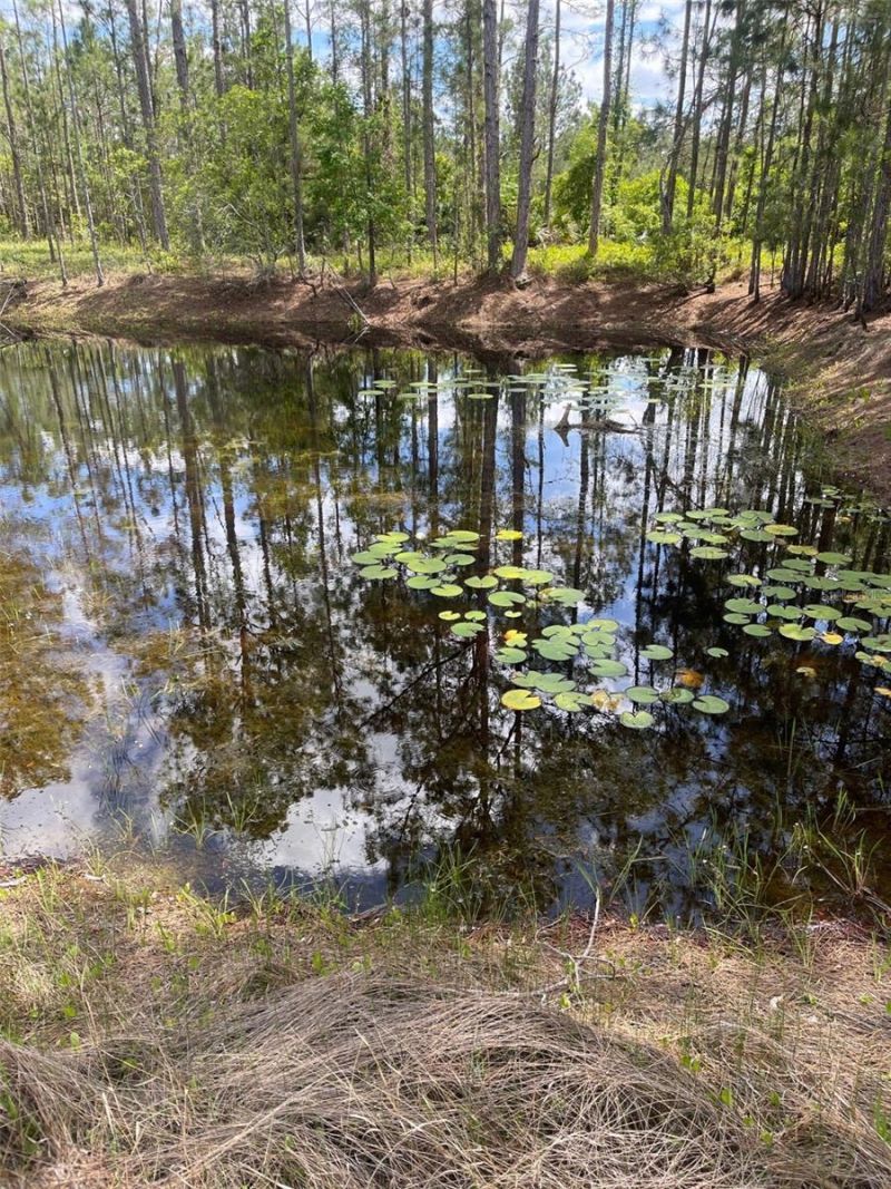 6100 Winning Wood Trail, De Leon Springs, FL 32130 Photo