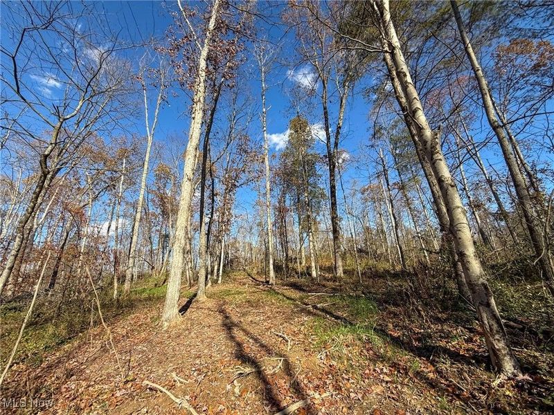 Kern Rd, Waterford, OH 45786 Photo 12