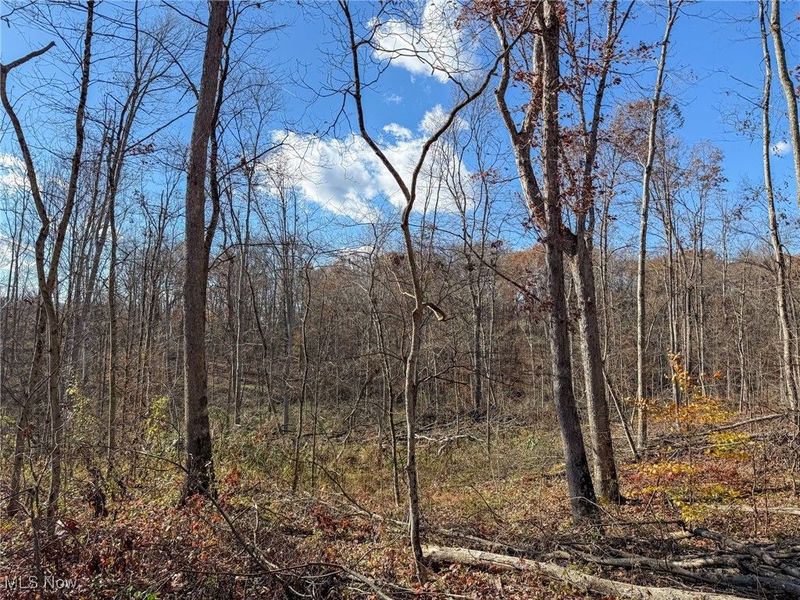 Kern Rd, Waterford, OH 45786 Photo 13