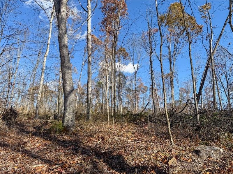 Kern Rd, Waterford, OH 45786 Photo 14