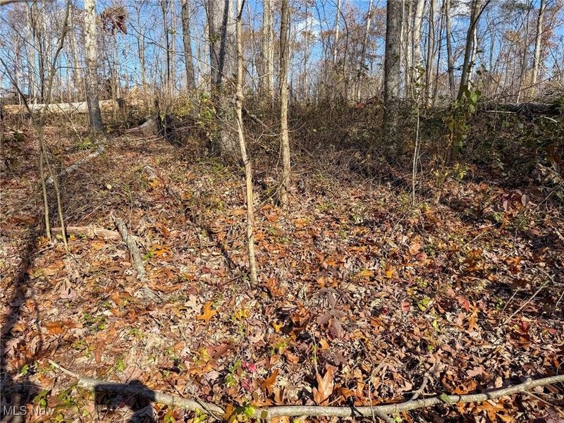 Kern Rd, Waterford, OH 45786 Photo 15