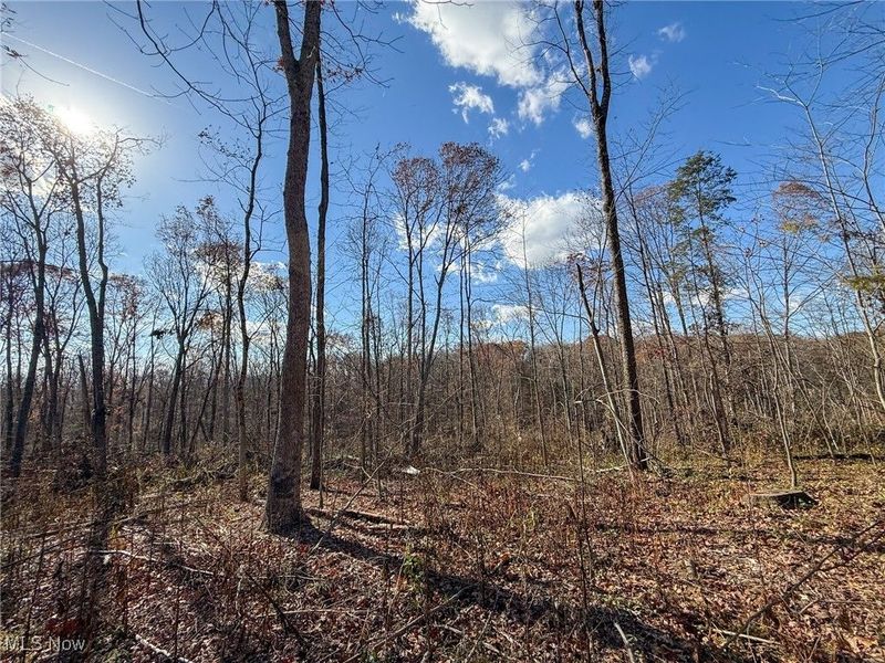 Kern Rd, Waterford, OH 45786 Photo 16