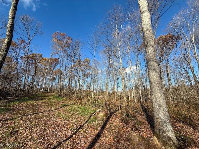 Kern Rd, Waterford, OH 45786 Photo 24