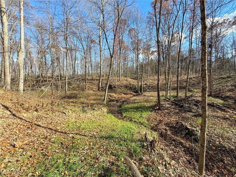 Kern Rd, Waterford, OH 45786 Photo 26