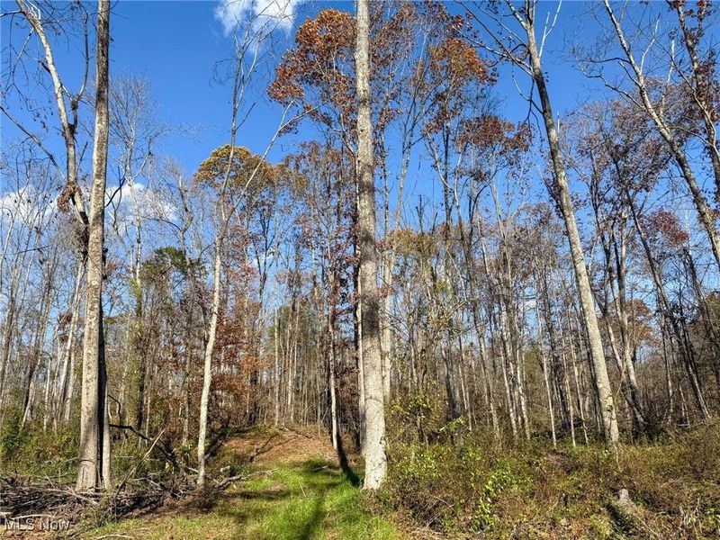 Kern Rd, Waterford, OH 45786 Photo 7