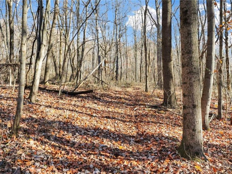 Mulberry Road SE, Mount Perry, OH 43760 Photo 10