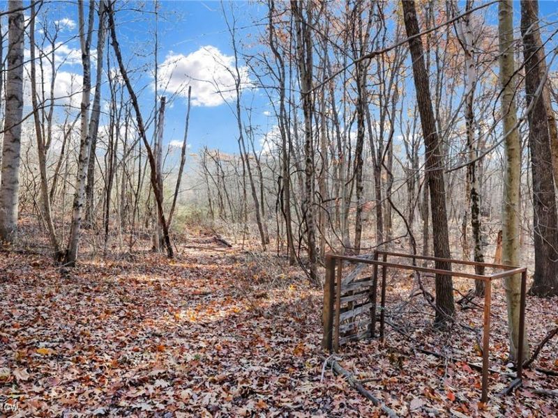 Mulberry Road SE, Mount Perry, OH 43760 Photo 11