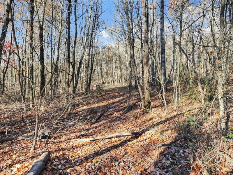 Mulberry Road SE, Mount Perry, OH 43760 Photo 12