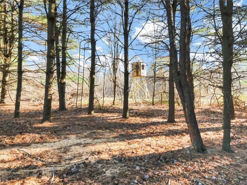 Mulberry Road SE, Mount Perry, OH 43760 Photo 14