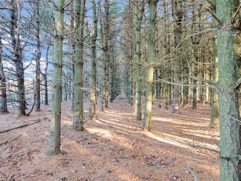 Mulberry Road SE, Mount Perry, OH 43760 Photo 16