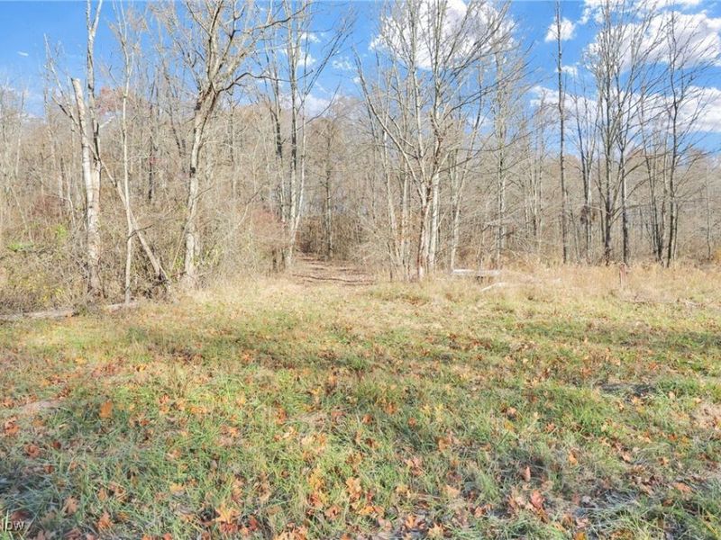 Mulberry Road SE, Mount Perry, OH 43760 Photo 8