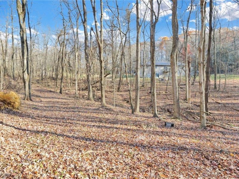 Mulberry Road SE, Mount Perry, OH 43760 Photo 9