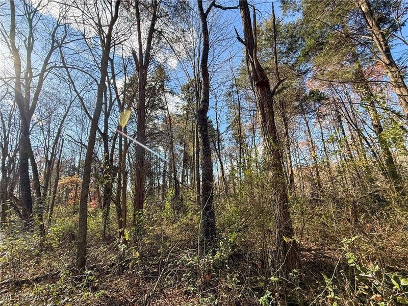 Kern Rd, Waterford, OH 45786 Photo 13