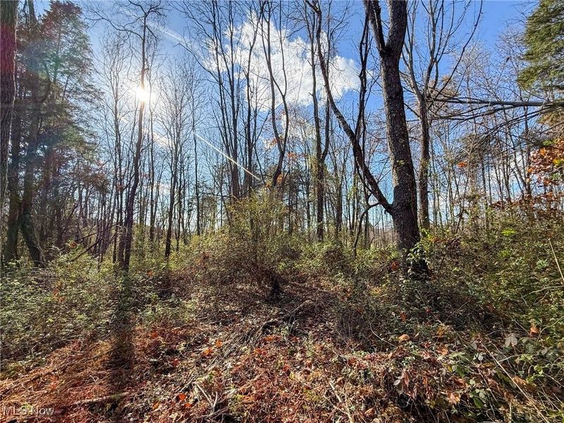 Kern Rd, Waterford, OH 45786 Photo 15